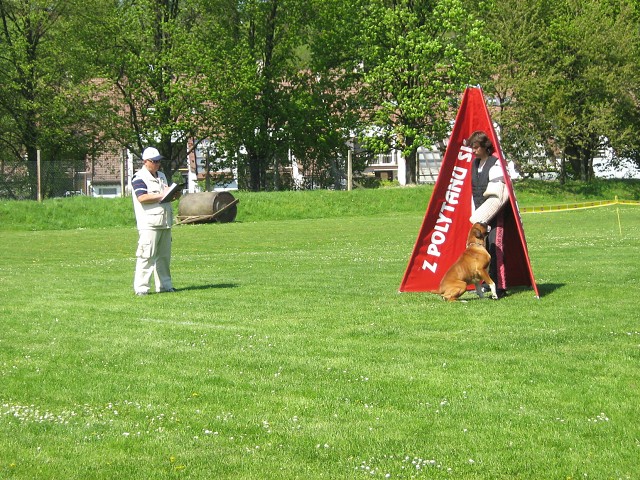 www.atibox.net * www.euroboxer.eu * www.boxergenealogia.eu